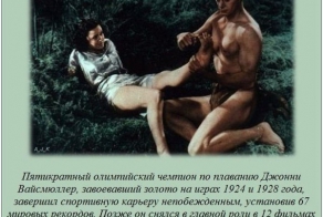 Интересные факты о разном