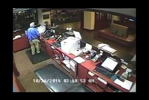 Олень в отеле