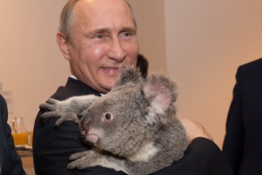 Животные Путина: кто они?