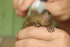 Утренние процедуры