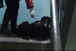 В Москве заживо сожгли бездомного
