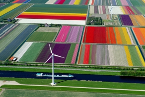 Почему Нидерланды вывезли свое золото из США?