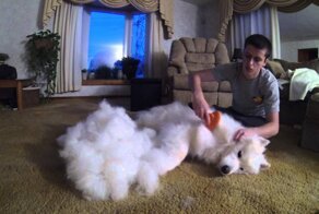 На свитер будет достаточно