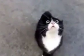 Где детонатор