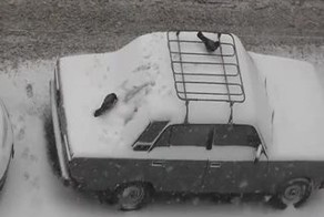 Подборка роликов от 15.02.2013