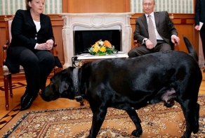 Владимир Путин и его собаки