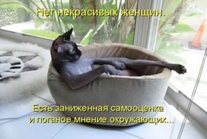 Прикольные фотки + слайдшоу