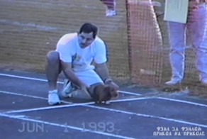 Собачка читер