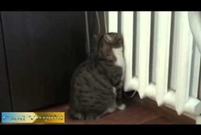 Зима пришла