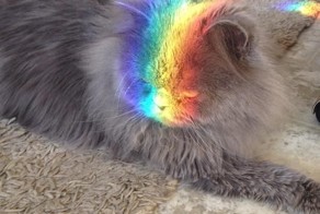 Песочные часы, создающие радугу