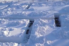 Снежный собачий рай
