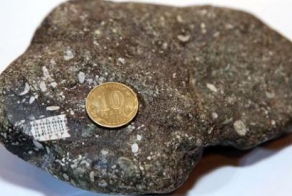 В России найден камень с микрочипом, которому 250 млн лет
