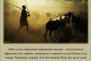 Интересные факты о разном