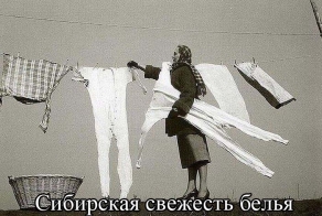 Смешные картинки