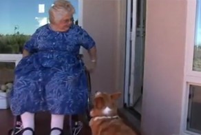 Настоящий четвероногий джентльмен 