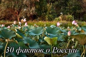 30 интересных  фактов о России