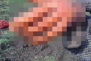 Здравствуйте...
