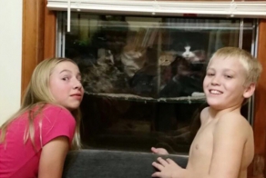 Мужчина построил «котвариум» для замерзающих котов