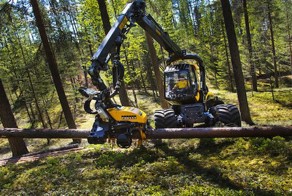 Железный дровосек