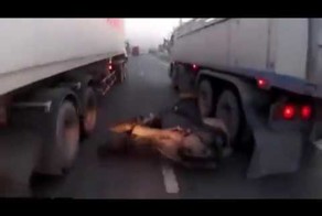 Реально повезло