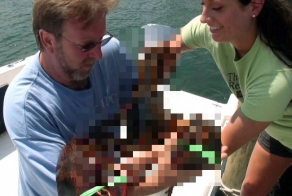 Доброe дело