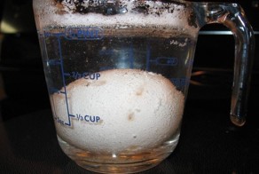 Что будет с яйцом, если его поместить в уксус?