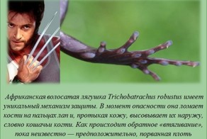 Интересные факты о разном