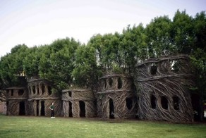 5 необычных сооружений в гигантских деревьях