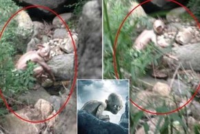 Турист сфотографировал в горах Шмыгу