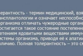 Еще раз о толерантности