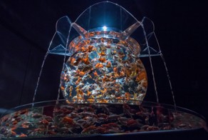 Аквариумное искусство в Японии