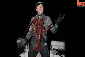 Дайвер поймал гигантского 70-летнего лобстера