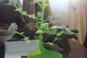 Произведения искусства из пластиковой бутылки