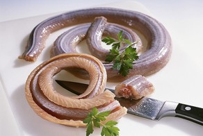 Гастрономические изыски со всего мира