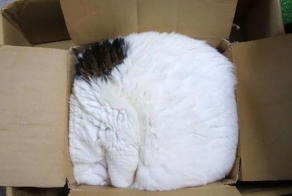 Неудобное удобно