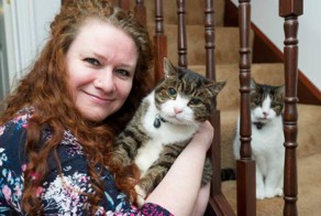 Кот вернулся к хозяйке спустя 12 лет