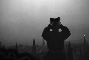 Немцы так и не вошли в Москву. Факты о первом серьёзном поражении 