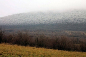 Если вы увидите нечто подобное — бегите без оглядки
