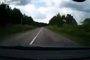 Реакция водителя спасла всю его семью