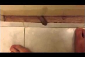 А у вас дома тоже так кошки делают?