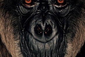 Обезьяны без роду и племени (11 фото)