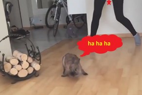 Лучшие приколы и редкие моменты