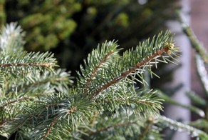 Подборка интересных фактов