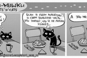 Кошки-мышки