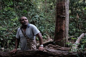 Как делают презервативы в лесах Бразилии