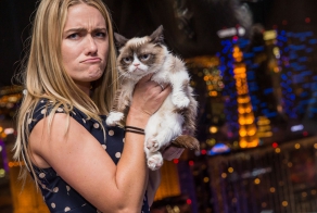 10 секретов успеха самого богатого кота