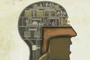 Как работает организм человека