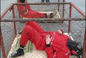 США-самое демократическое государство в Мире. Проверено ЦРУ