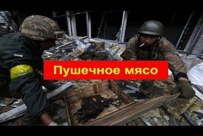 &quot;Пушечному мясу&quot; Украины посвящается. Т. Монтян