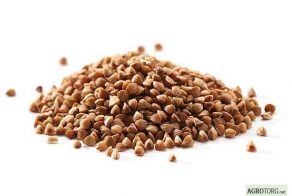 Глава Минсельхоза объявил об избытке гречки в стране